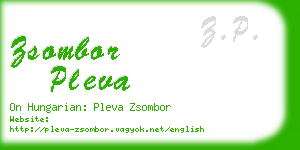 zsombor pleva business card